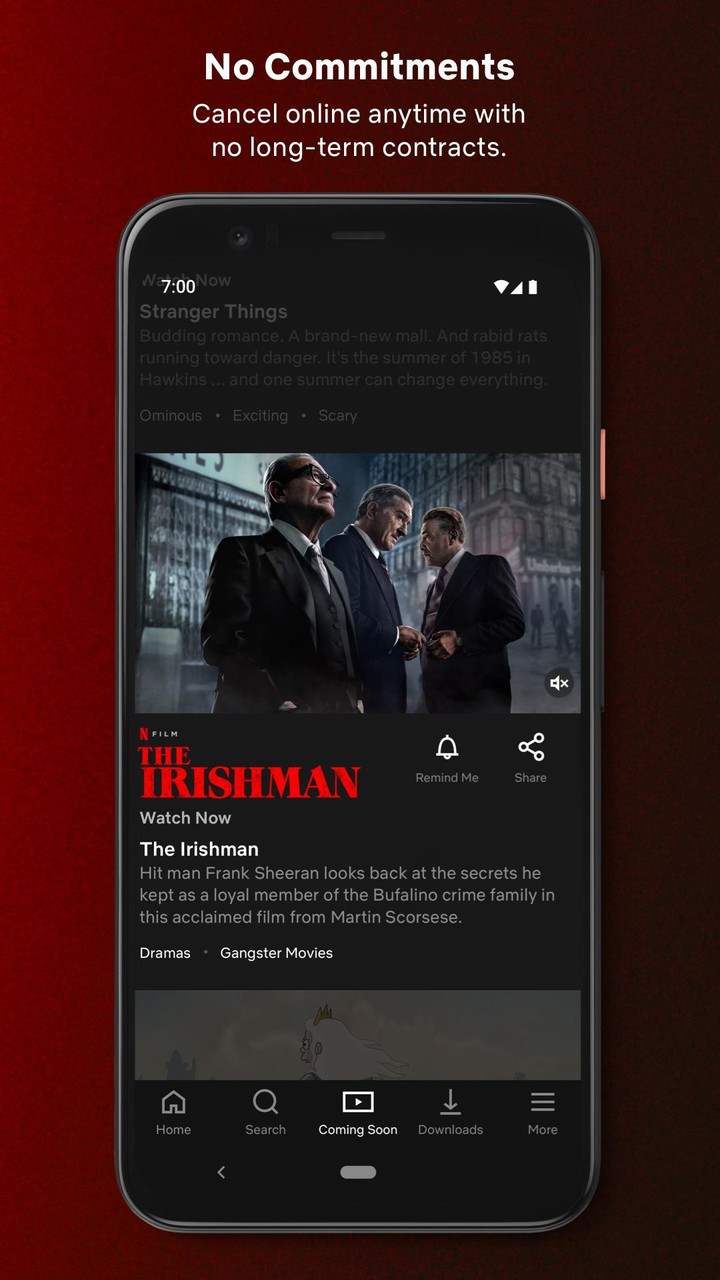 Netflix_playmods.net