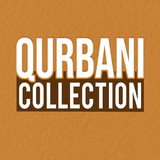 Qurbani Collection_playmods.net