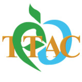 تی تک_playmods.net