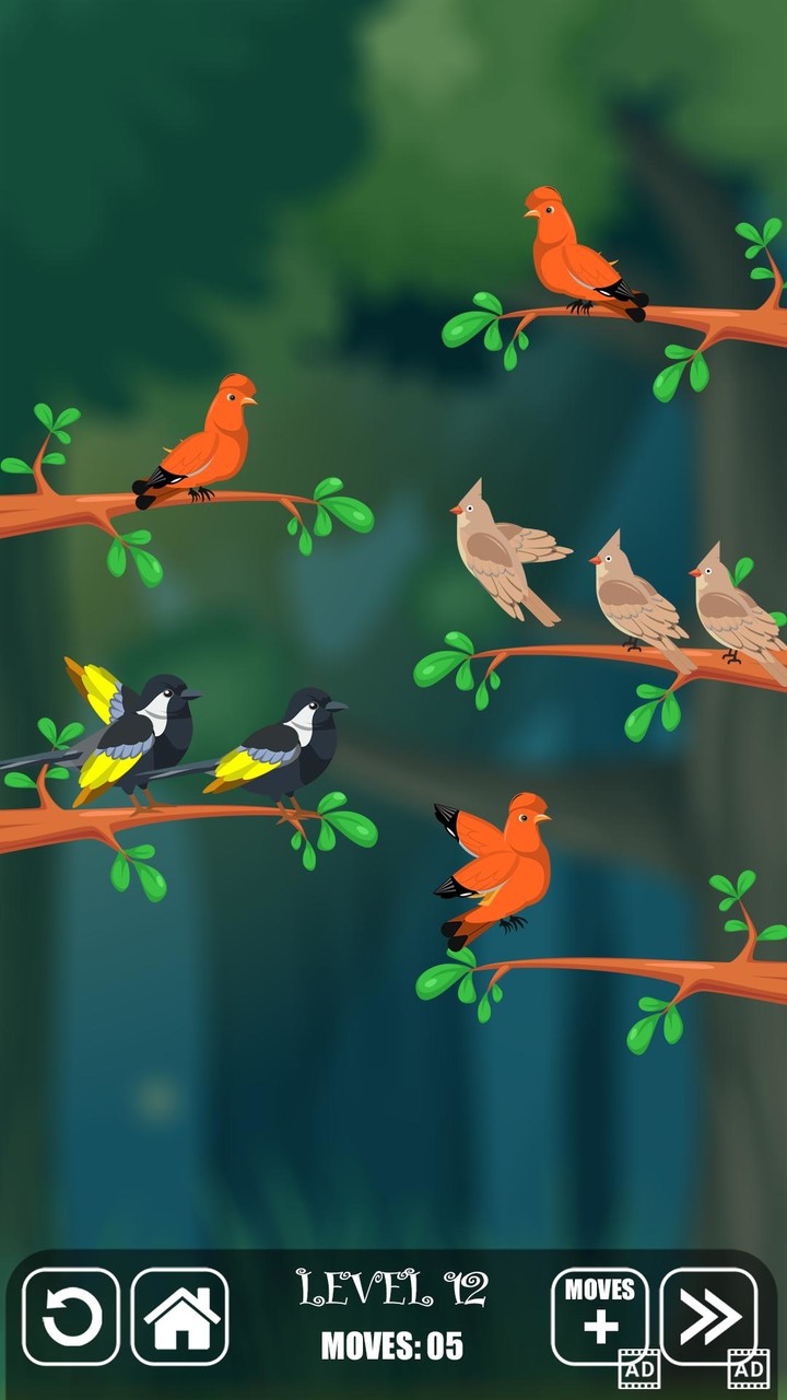 Bird Sorting Fun Puzzle Game_playmods.net