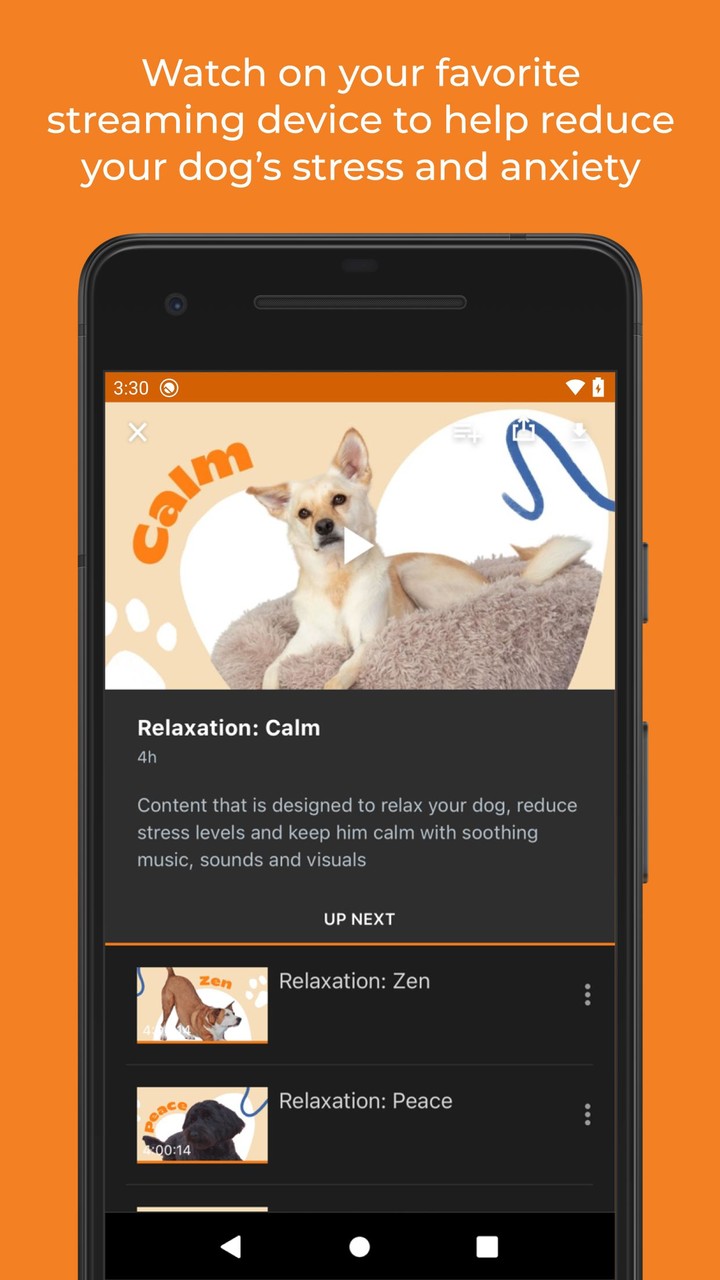 DOGTV_playmods.net