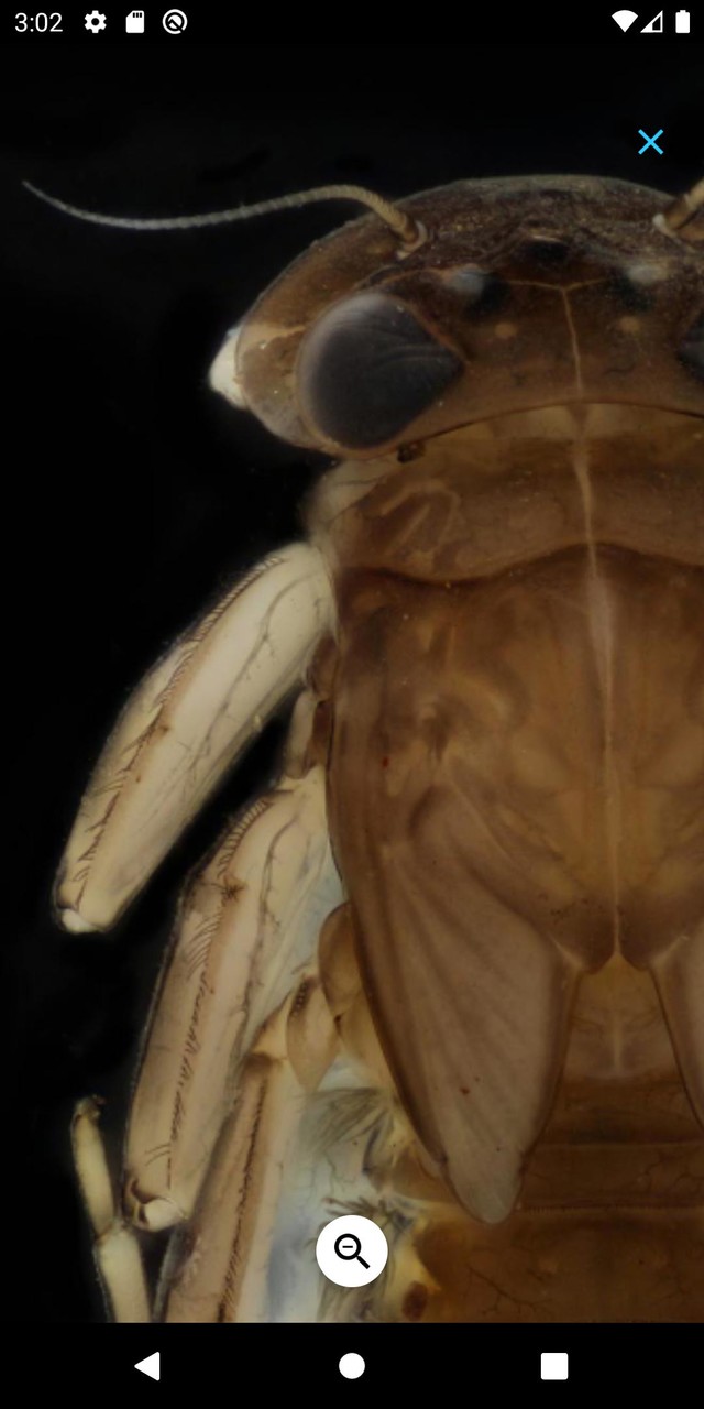 PocketMacros_playmods.net