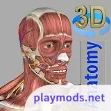 3D Anatomy(Full Version Unlocked)6.8_playmods.net