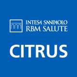 Citrus(Official)2.18.1_playmods.net