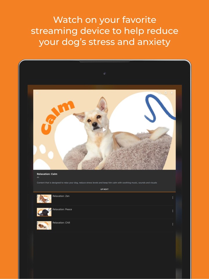 DOGTV_playmods.net