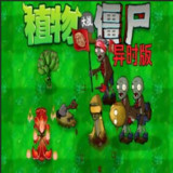 植物大战僵尸:异化时空PC电脑版(PC)1.0_playmods.net