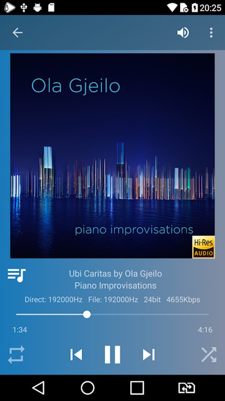 USB Audio Player PRO_playmods.net