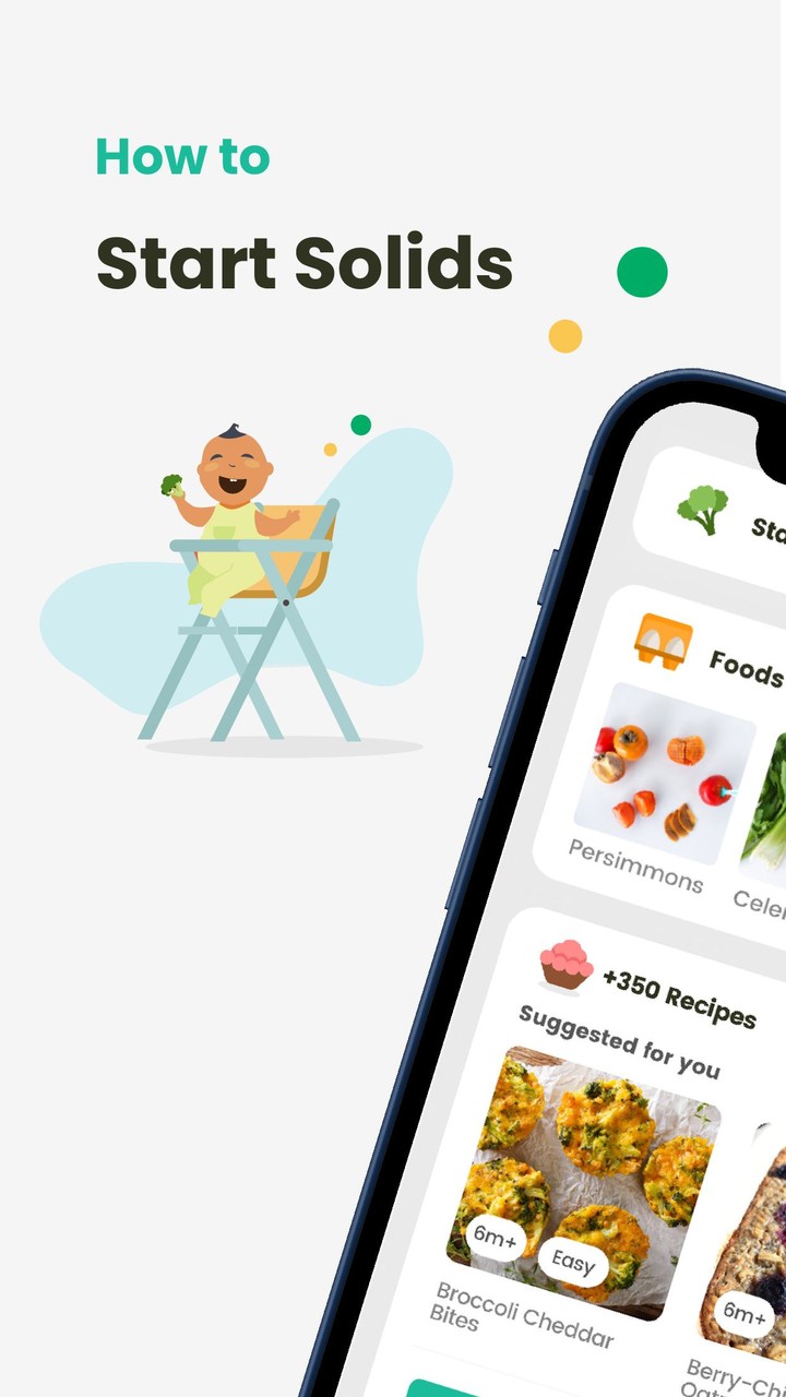 BLW Meals: How to Start Solids_playmods.net