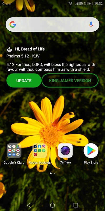 KJV - Holy Bible King James Version_playmods.net