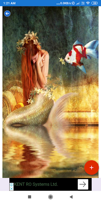 Mermaid Wallpaper: HD images, Free Pics download_playmods.net