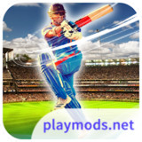 Cricket 2024(No Ads)13.0_playmods.net
