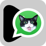 Stickers Memes y Adhesivos de Gatos para WhatsApp_playmods.net