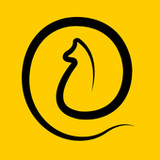 11pets: Pet care(Official)5.005.007_playmods.net