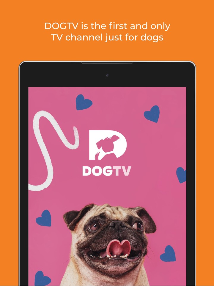 DOGTV_playmods.net