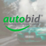 Autobid_playmods.net