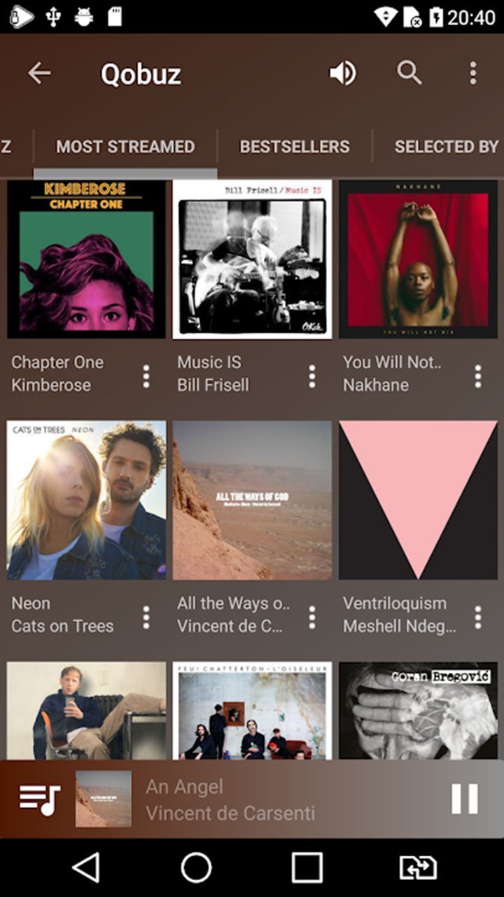 USB Audio Player PRO_playmods.net