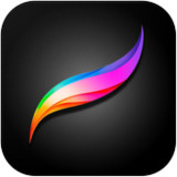 Procreate Pocket(Official)1.0_playmods.net