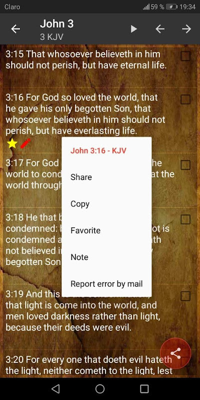 KJV - Holy Bible King James Version_playmods.net