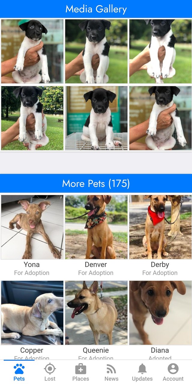 PetFinder.my_playmods.net