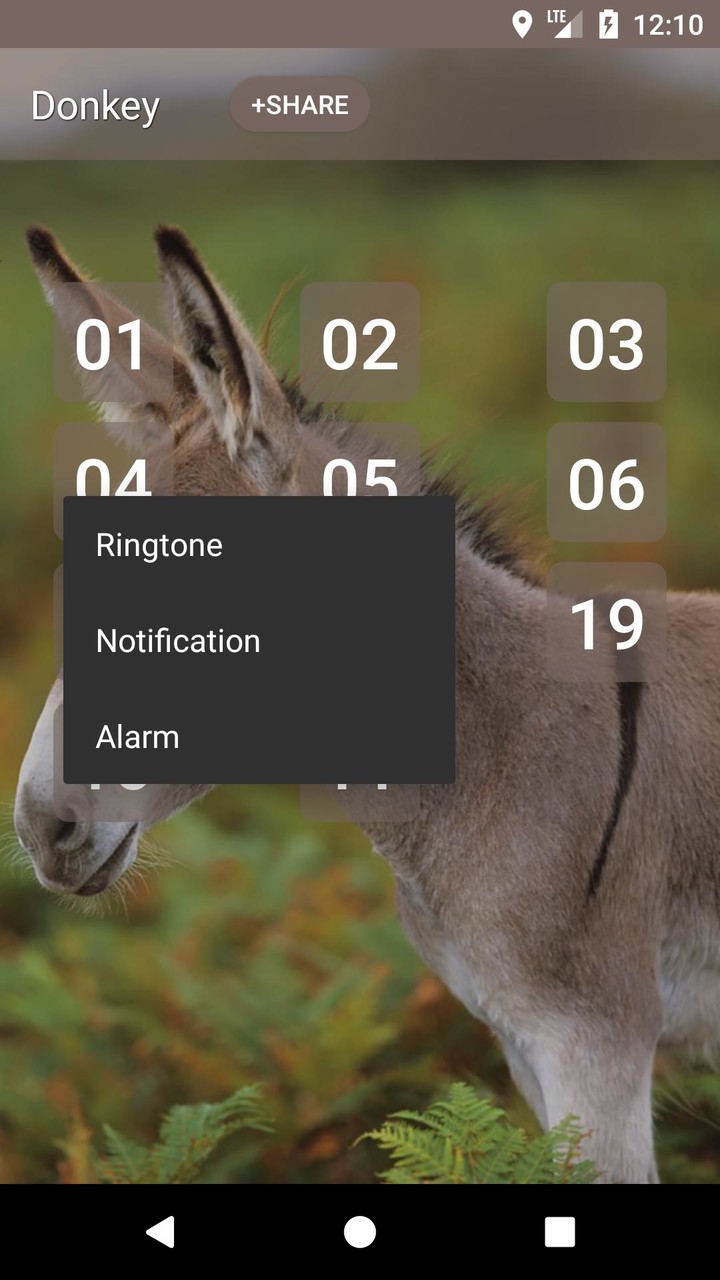 Donkey sounds_playmods.net