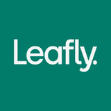 Leafly: Find Cannabis and CBD(공식적인)7.34.0_playmods.net