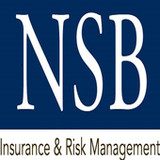 NSB Insurance Online(Official)2021.4.0_playmods.net