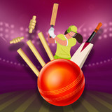 Women’s T20 Cricket Challenge._playmods.net