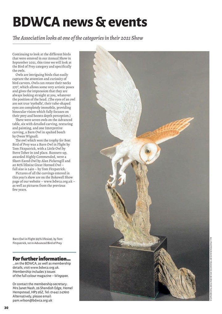 Woodcarving Magazine_playmods.net