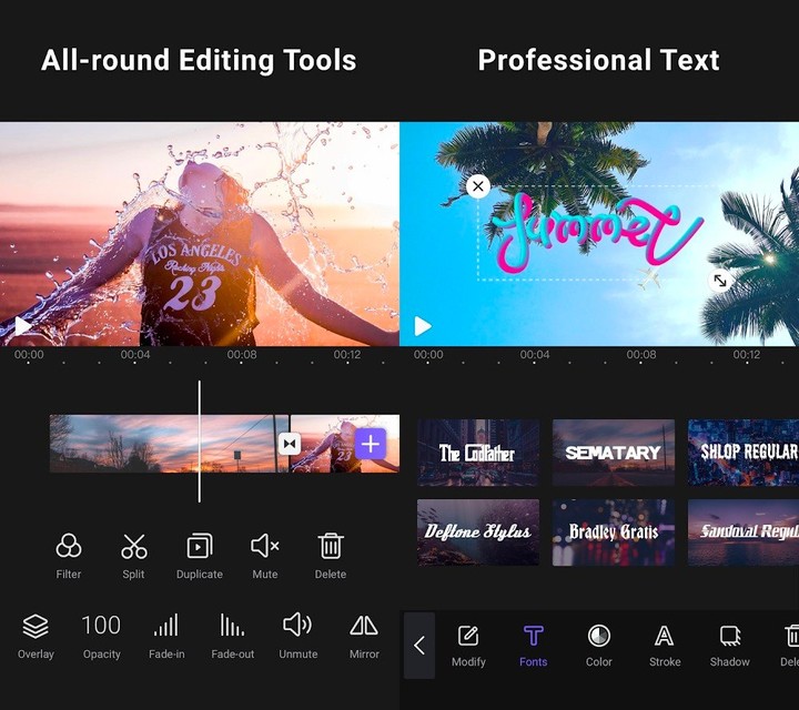 VivaCut(Pro Features Unlocked) screenshot image 1_playmods.net