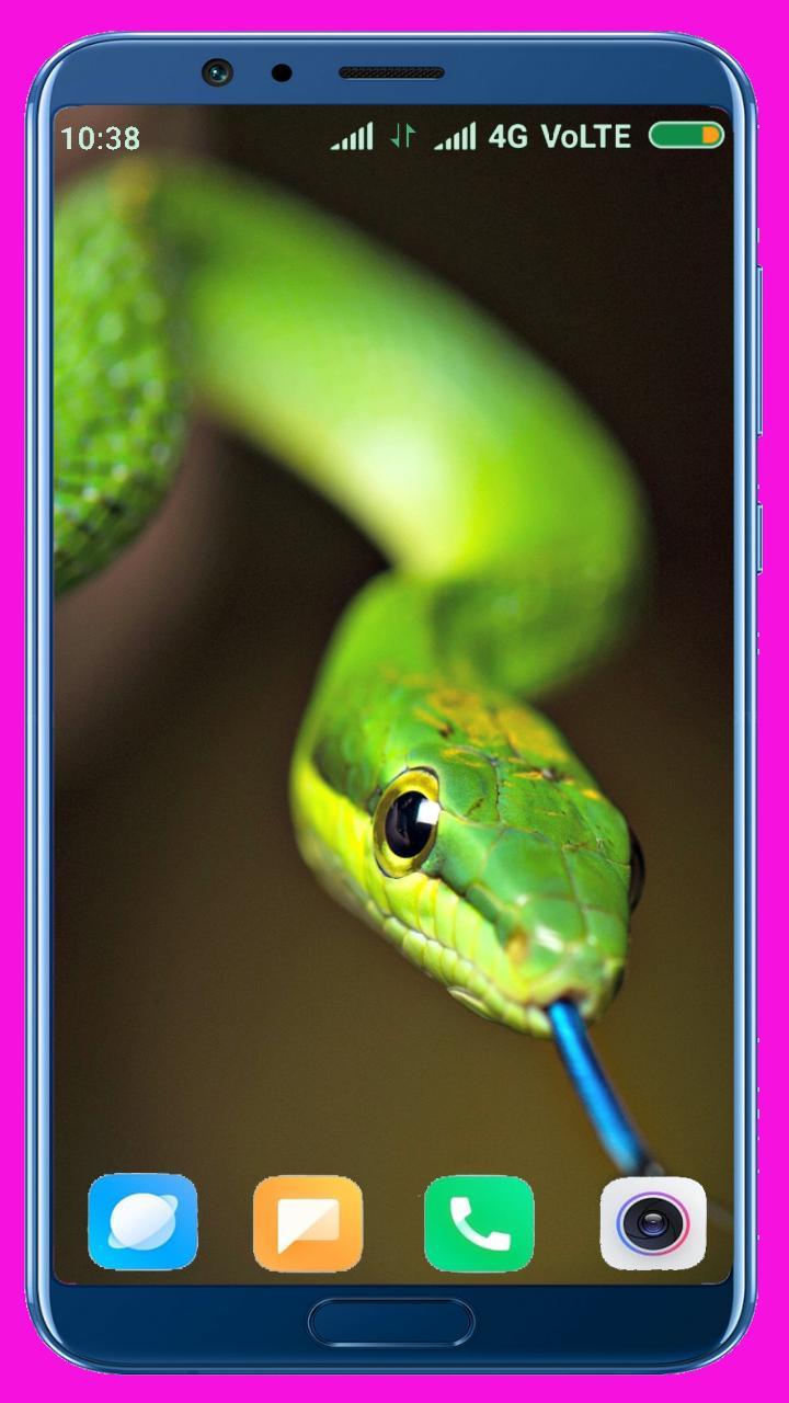 Snake HD Wallpaper_playmods.net