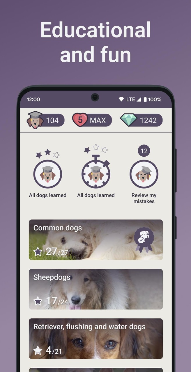 Quiz School | Dog breeds_playmods.net