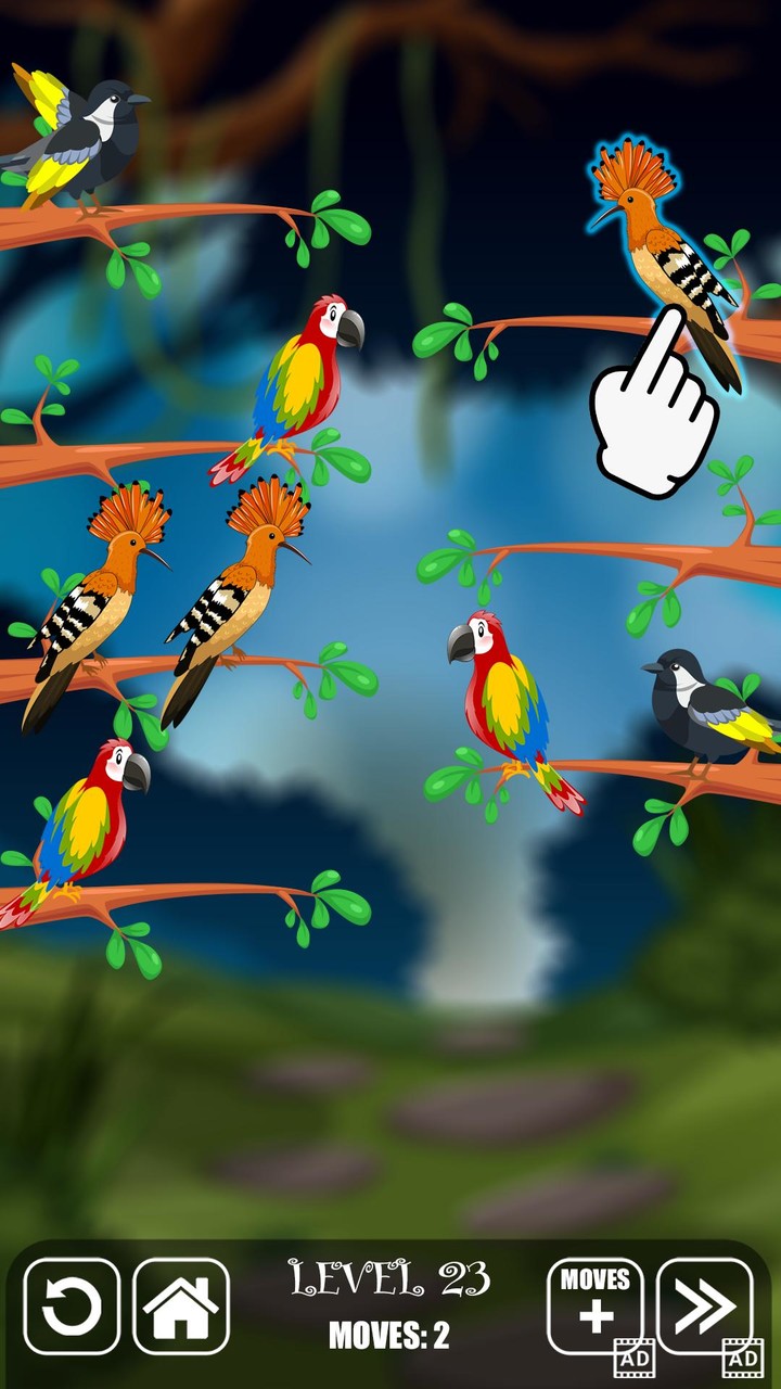 Bird Sorting Fun Puzzle Game_playmods.net