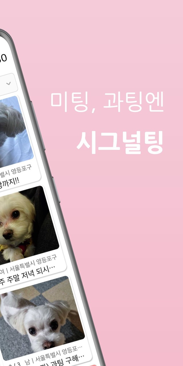 시그널팅 - 대학생/직장인 미팅, 소개팅, 과팅_playmods.net