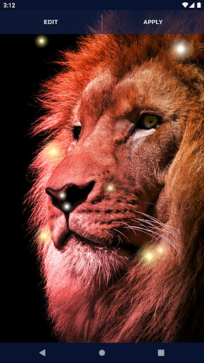 Brave Lion Live Wallpaper_playmods.net
