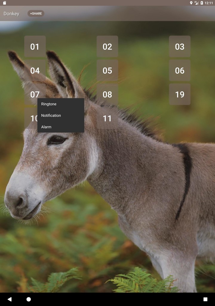 Donkey sounds_playmods.net