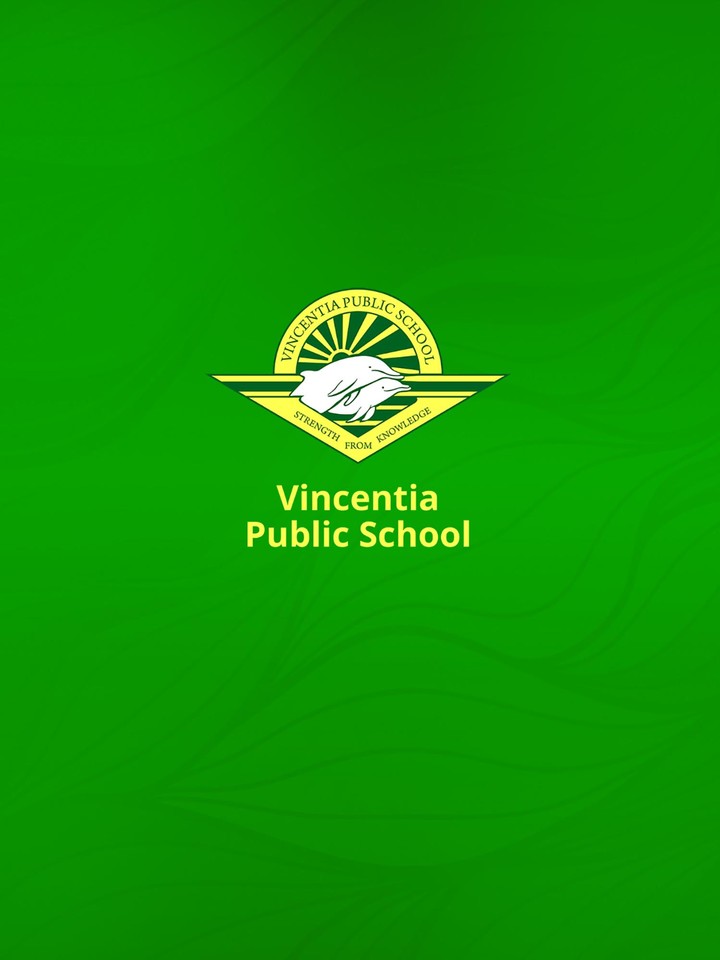 Vincentia Public School_playmods.net