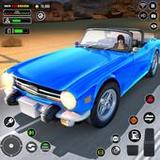 Android için Long Road Trip Car Driving 23 APK v1.1i indirin