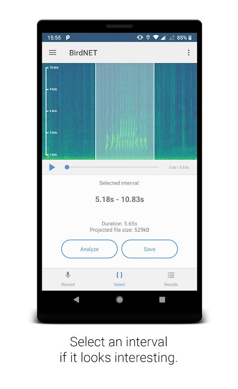 BirdNET_playmods.net