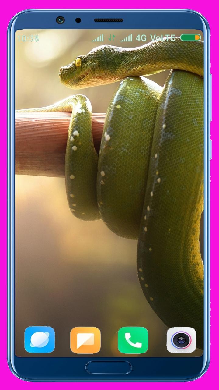 Snake HD Wallpaper_playmods.net