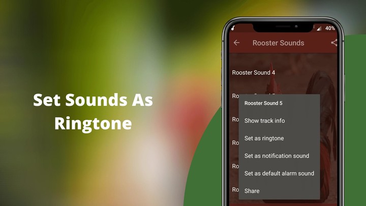 Rooster Sounds - Morning Alarm_playmods.net