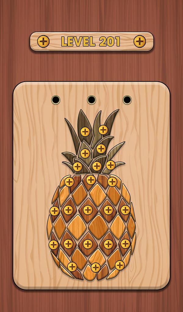 Nuts & Bolts 3D: Screw Master_playmods.net