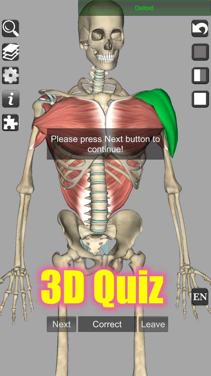 3D Bones and Organs (Anatomy)_playmods.net