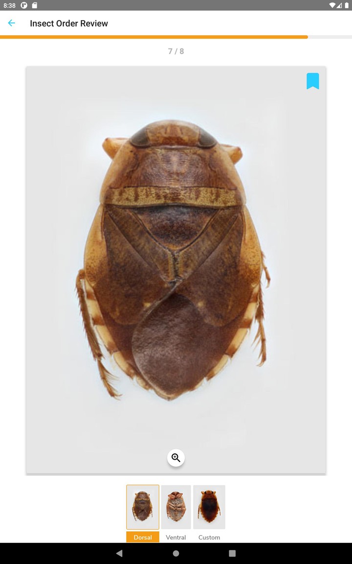 PocketMacros_playmods.net