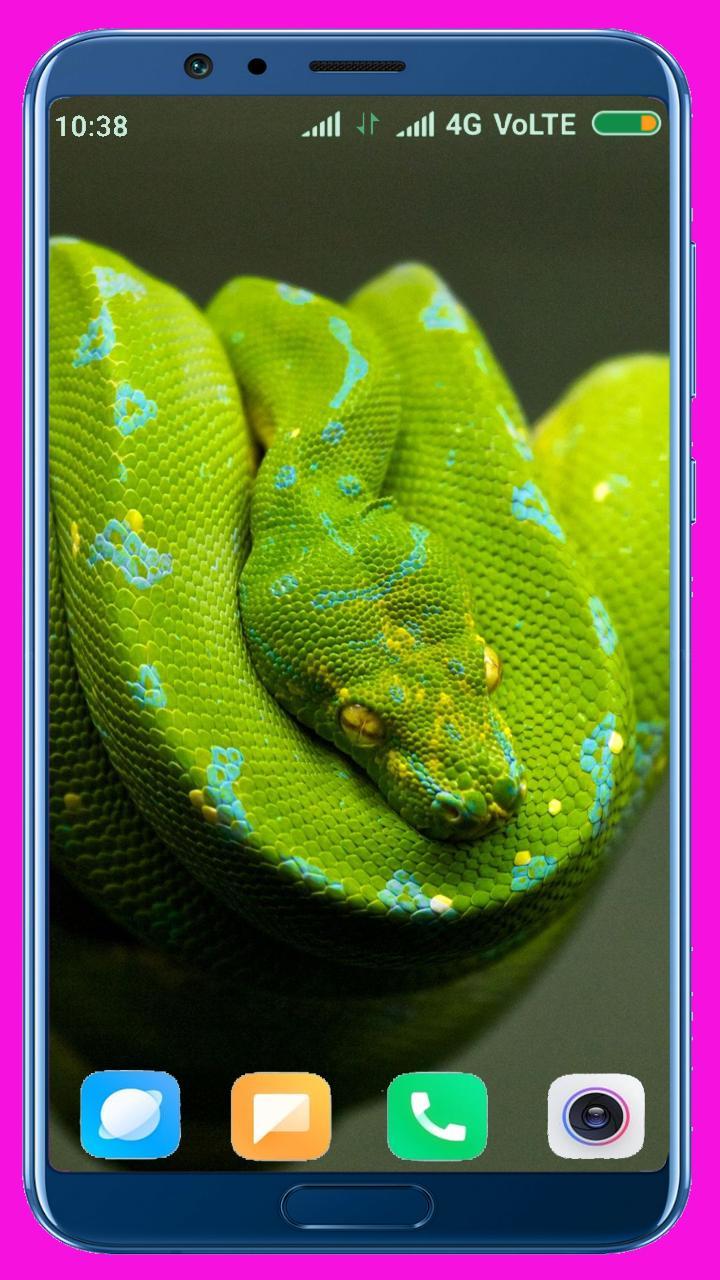 Snake HD Wallpaper_playmods.net