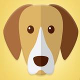 What Type Of Dog Are You?_playmods.net