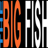 The Big Fish(Official)10.1_playmods.net