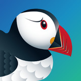 Puffin Browser Pro(mod)9.3.1.50898_playmods.net