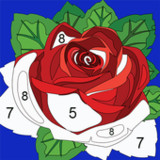 Magic Color | Paint By Number_playmods.net