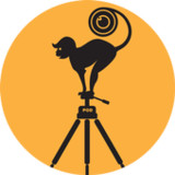 POD(Official)5.3.1_playmods.net