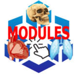 Les Modules De Soins infirmiers(Resmi)2.4_playmods.net
